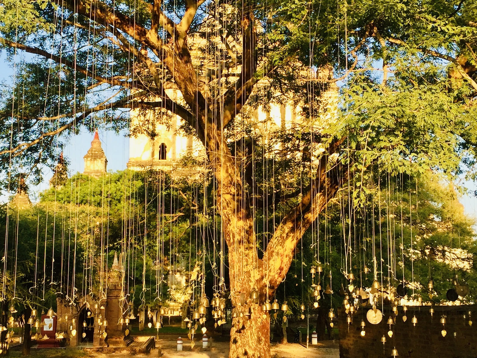 valle dei templi Bagan